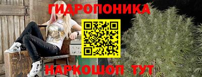 стаф Усть-Джегута