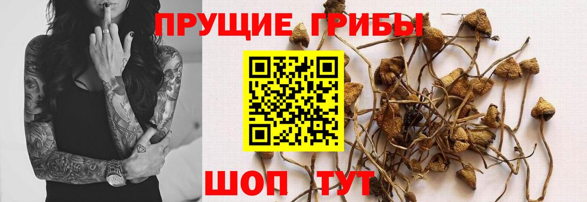 Соликамск  Галлюциногенные грибы мухоморы  купить   Вход с VPN  Псилоцибиновые грибы ЛСД 